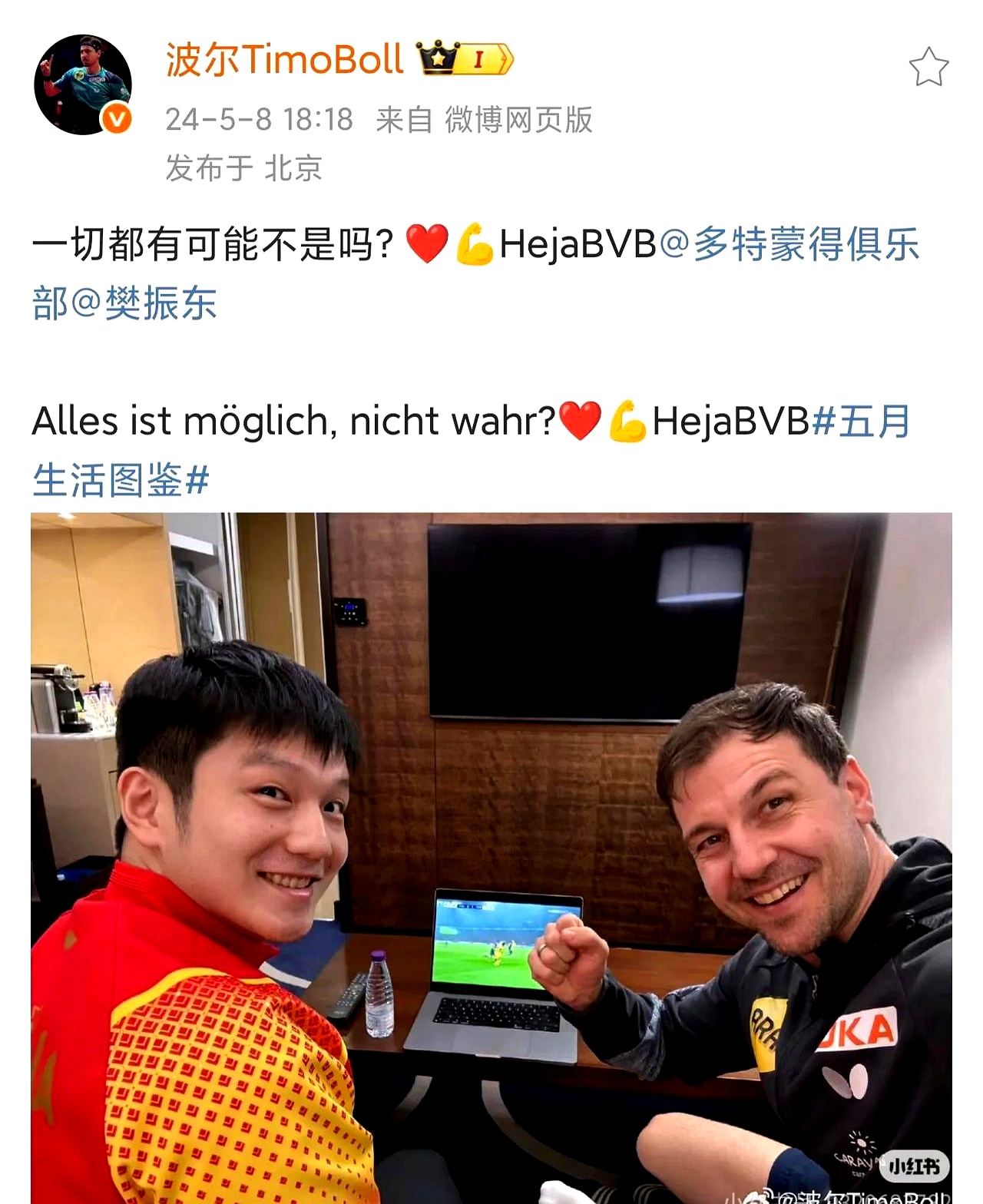 米兰体育-法国乒乓球队横扫中国乒乓球队，波尔打破历史纪录的简单介绍