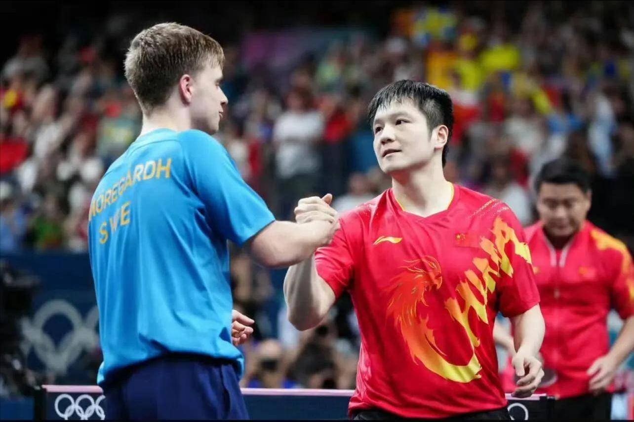 关于英国乒乓球队绝杀波兰乒乓球队，樊振东统治全场的信息