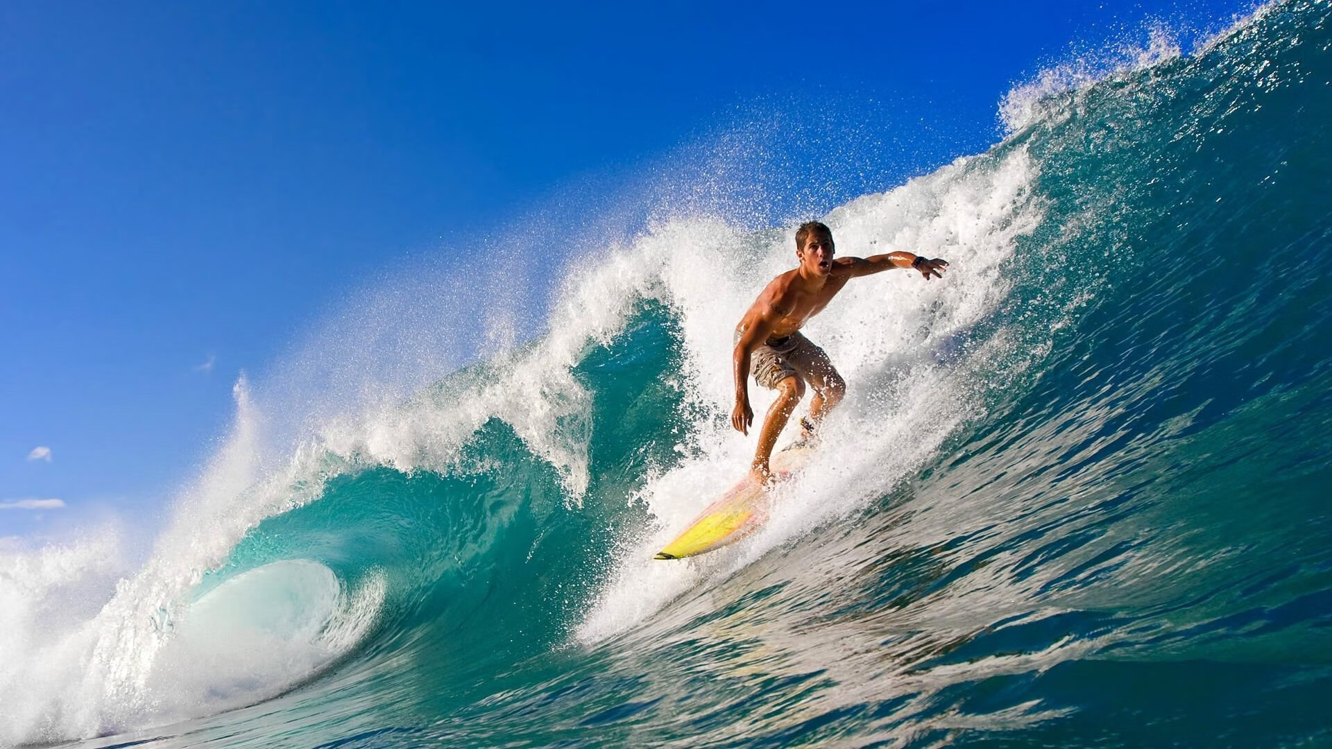 鹈鹕展翅遮天蔽日，霍勒迪攻防一体导演战术压制